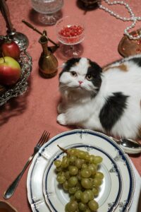 Article: Companion Plants for Grapes. Pic -grapes on a plate and a cat on the table