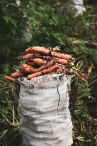 Article: Companion Plants for Carrots. Sack of Carrots