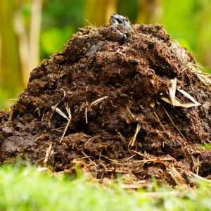 Close-up of a mature compost heap, showcasing the rich, dark soil full of organic matter. Stray pieces of straw are scattered throughout, indicating the heap's mixture of green and brown material necessary for optimal decomposition.