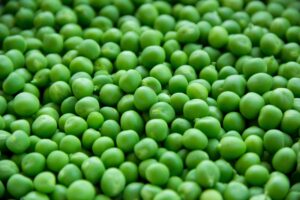 Article: Companion plants for Peas. Picture - Peas