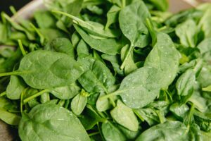 Article: Spinach companion plants. Small spinach leaves