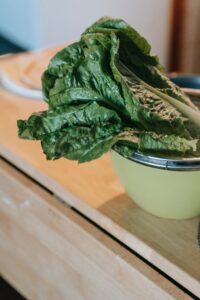 Article: Spinach companion plants. large spinach in a bowl