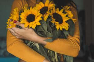Article: Sunflower Companion Plants. Lady dressed in yellow hugging an arm full of sunflowers shoulders and arms mostly showing