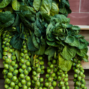 Bountiful Brussels: Harvested and Hung with Care