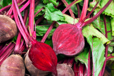 Freshly harvested beetroots with vibrant red stems and lush green leaves.