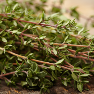Article: Thyme Companion Plants. "Close-up of fresh thyme branches with tiny green leaves, indicative of the herb's robust flavor and aromatic charm