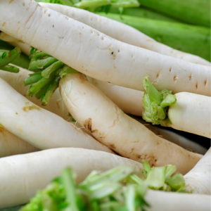 Close-up of fresh white turnips with green tops.
