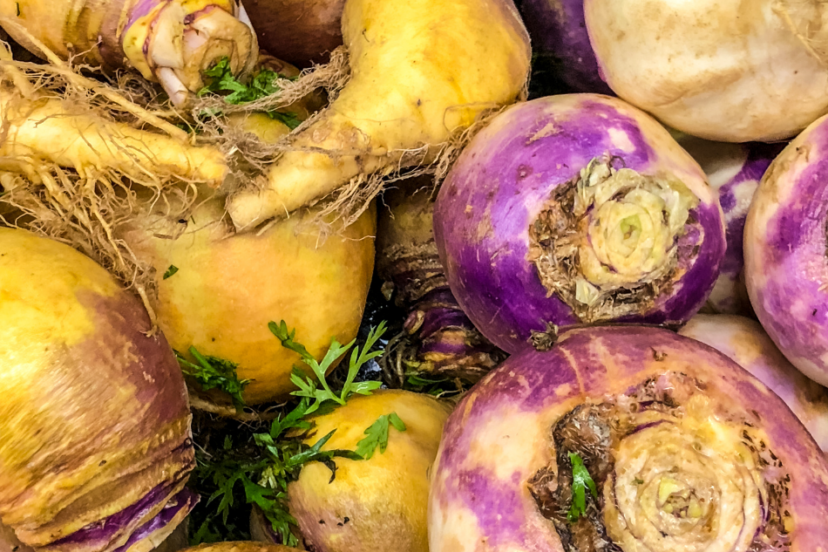 A pile of rustic turnips with roots in various shades of yellow and purple.
