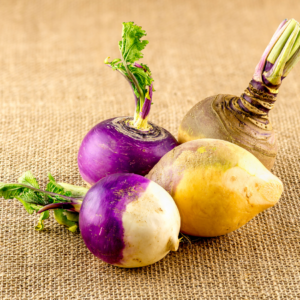 A colorful assortment of turnips, including purple, yellow, and white varieties, arranged on a burlap fabric background.