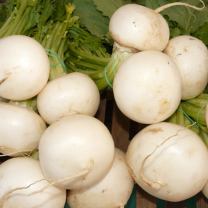 A bunch of fresh white turnips with crisp green leaves, tied together, set against a wooden backdrop.