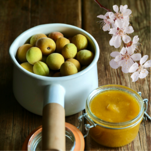 Fresh apricots in a white ceramic pot next to a jar of apricot jam and blooming apricot blossoms on a wooden table.
