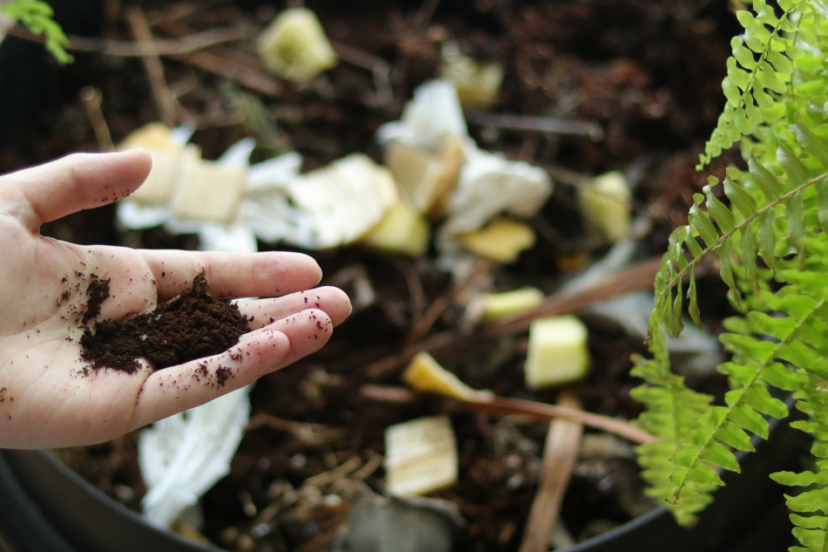 Article: top 10 composting bins. Pic - A hand holding dark compost over a compost bin filled with organic waste materials like banana peels and paper, with a green fern plant in the background.
