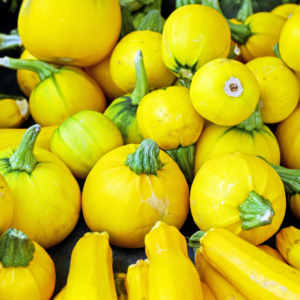 Article; Grow Your Own Low-Oxalate Foods. Pic - Close-up of a pile of yellow zucchinis and round yellow squashes with green stems.